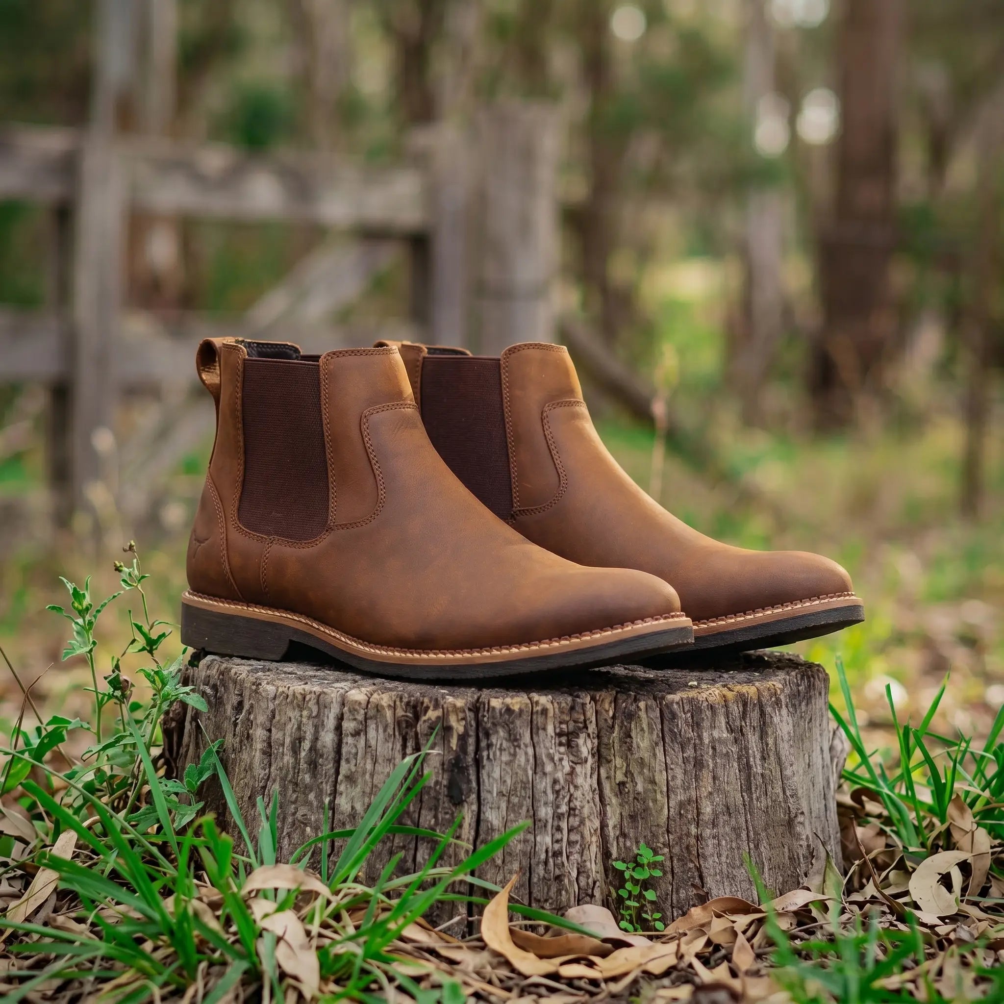 Botina Masculina Mustang Whisky Brk Agro