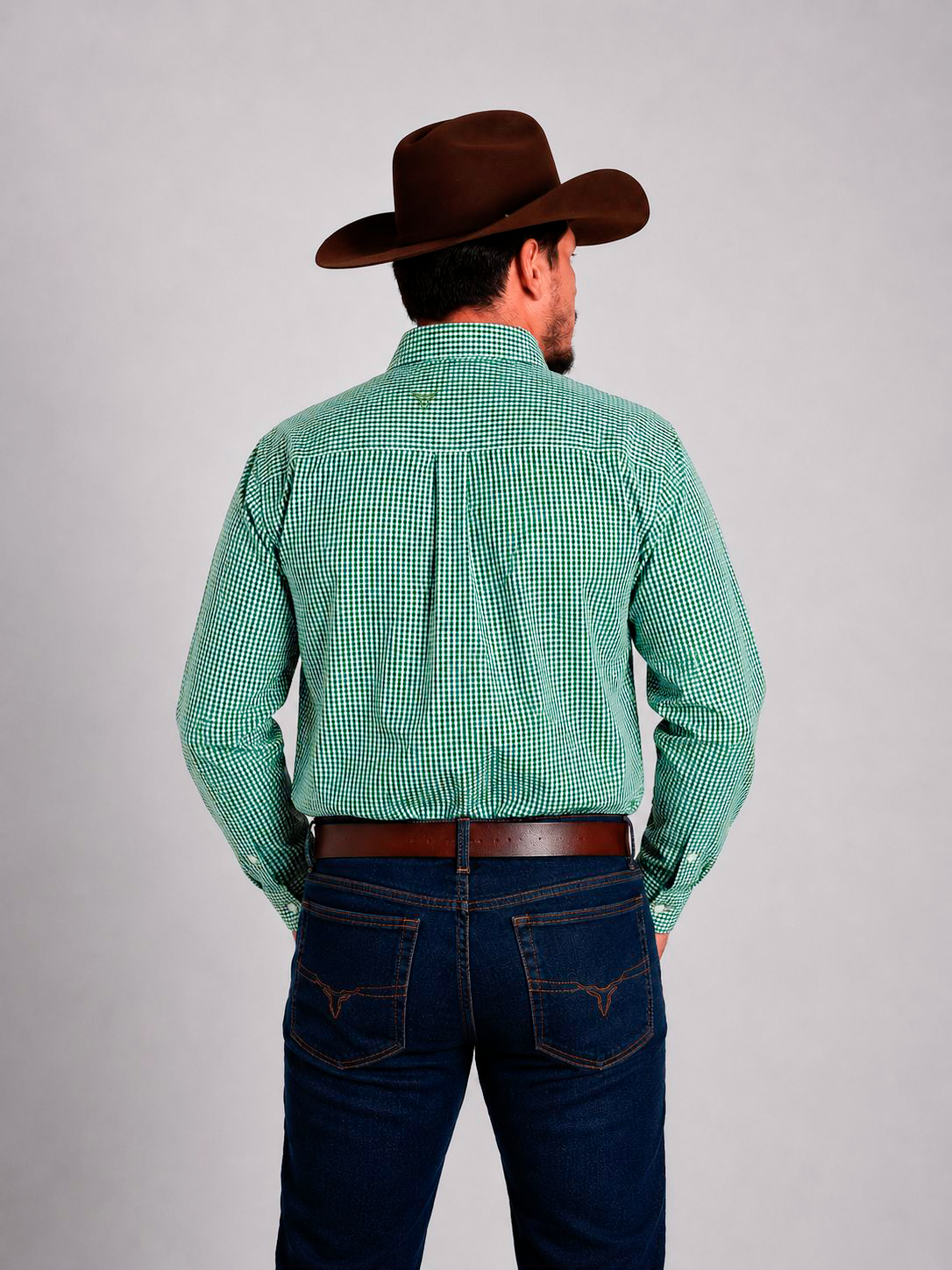 Camisa BRK M/L Western Verde Claro
