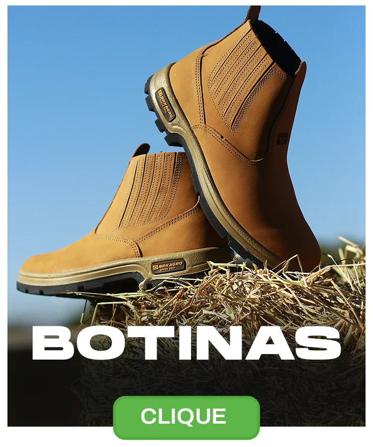 Botinas
