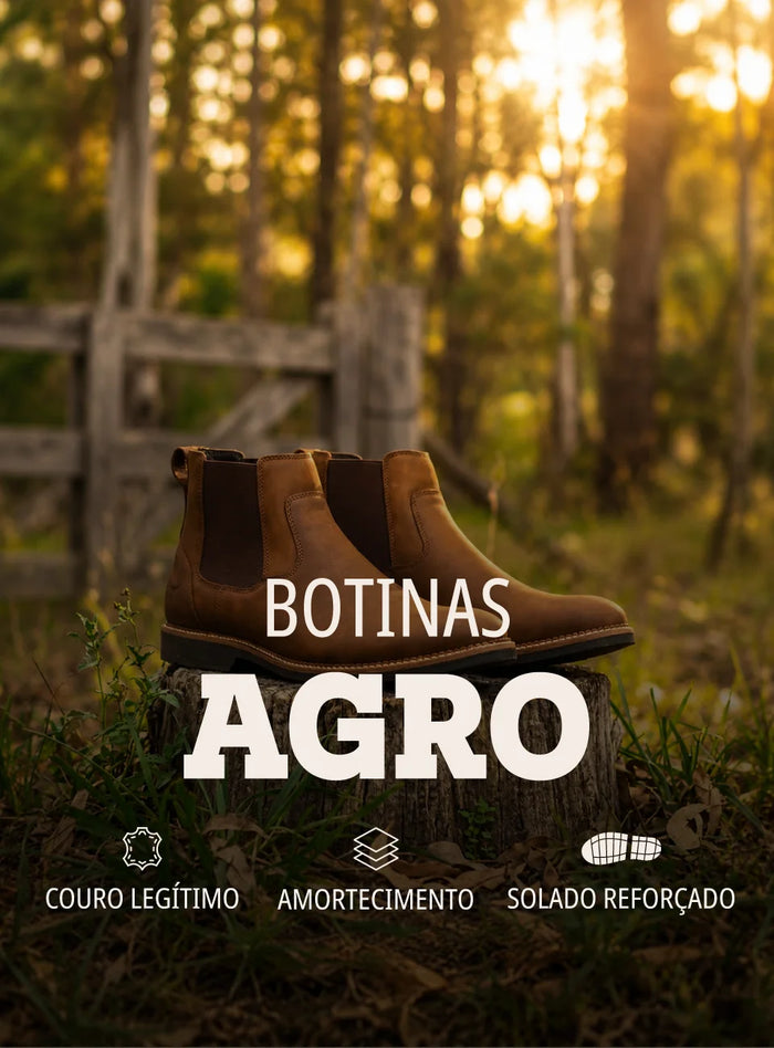 Botinas